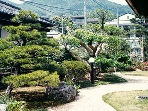 和風庭園　逸見邸庭園工事1